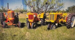 Row of vintage orange and yellow tractors parked in a grassy field under a clear sky, with trees in the background.